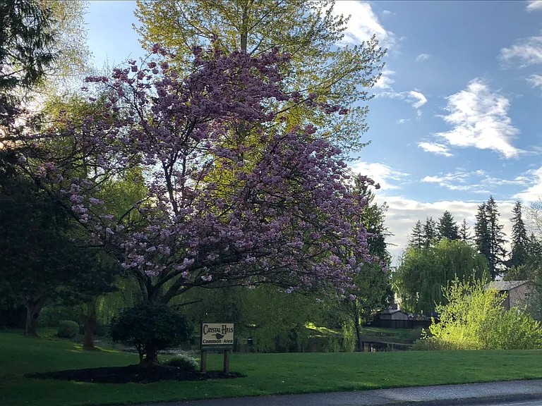 2609 183rd St SE — Photo 22