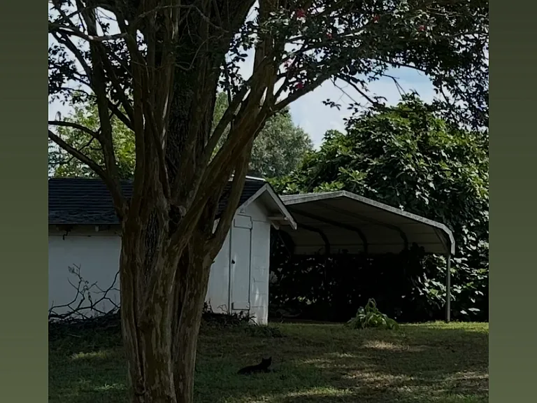 211 Sunset Dr — Photo 13