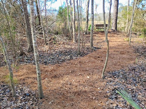 4th image of 40 Alligator Creek Road