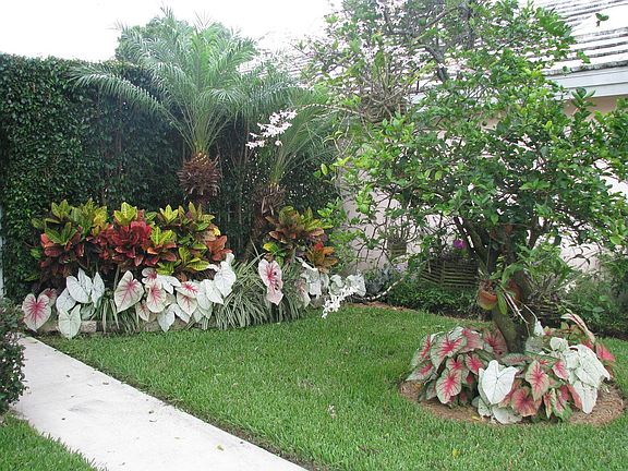 Path to Back yard