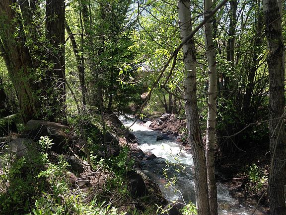 4th image of Tbd W Galena