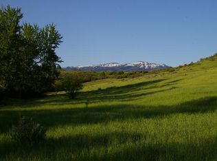 Tbd Meadows Ln, Indian Valley, ID 83632