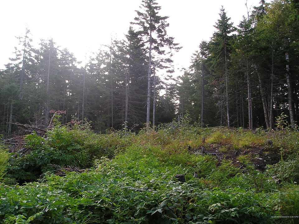 2nd image of 63 Ames Cove Rd