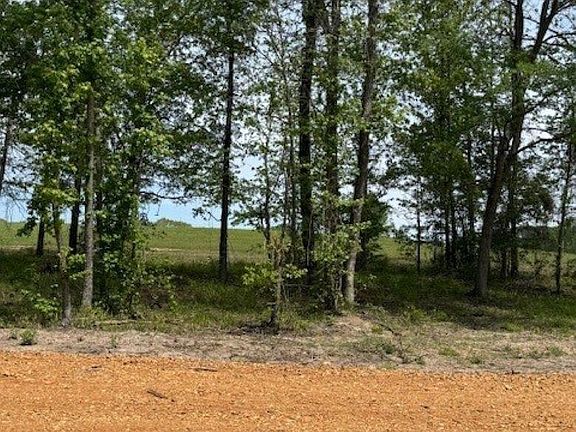 3rd image of Maddox Court Tract #7
