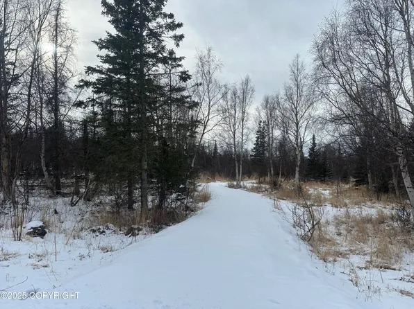 3910 N Vista Dr, Palmer, AK 99645