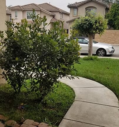 2nd image of 13246 Gyna Ln
