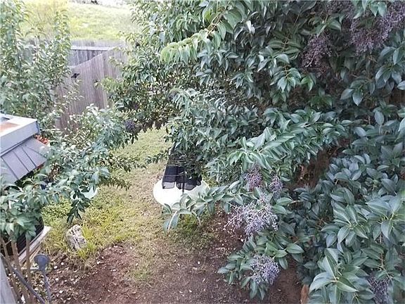 702-C Castle Ridge Rd, Austin TX 78746 in EANES ISD. Lush and private backyard.