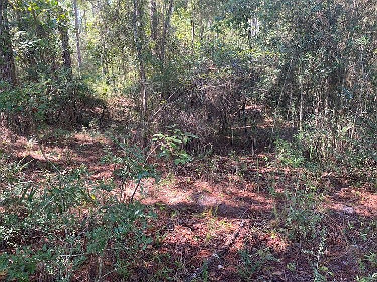 2nd image of 0 Xx Natural Bridge Rd