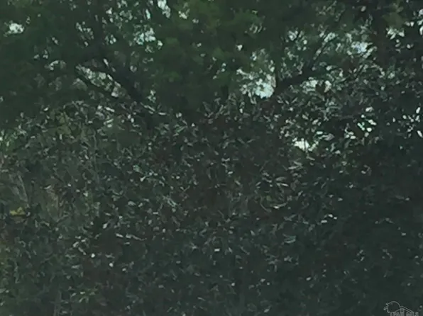 Lantana Dr, Lillian, AL 36549