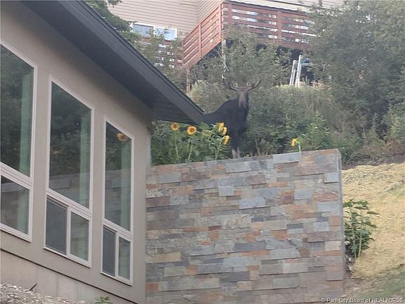 5th image of 290 S Matterhorn Dr