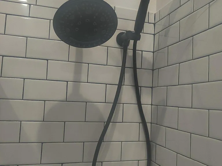 showerhead and upper hand sprayer
