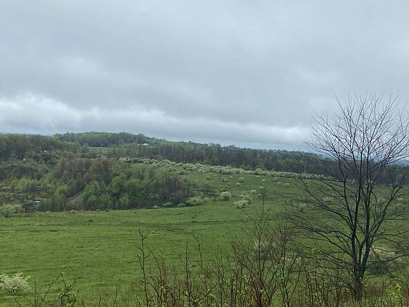 5th image of 123 Deckers Point Rd