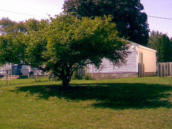Beautiful fenced yard