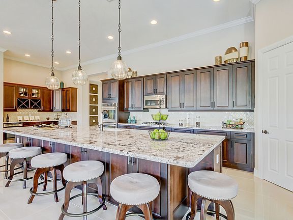 Ultra gourmet kitchen