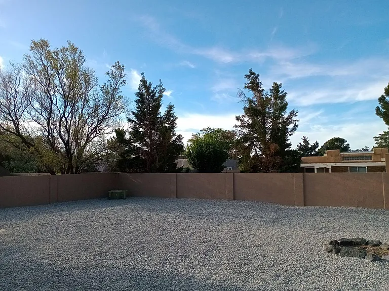 SE corner of backyard