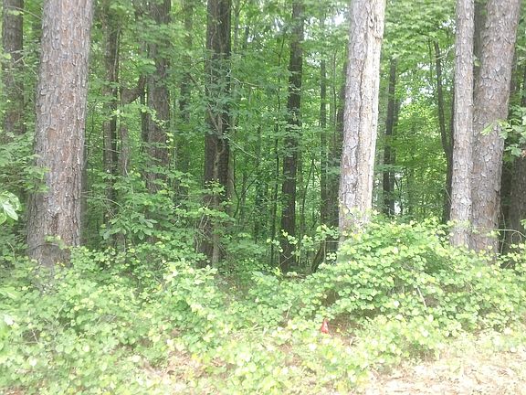 5th image of 0 Woodduck Ct