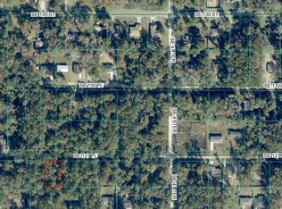 TBD SE 131ST PLACE LOT 10, BELLEVIEW, FL 34420