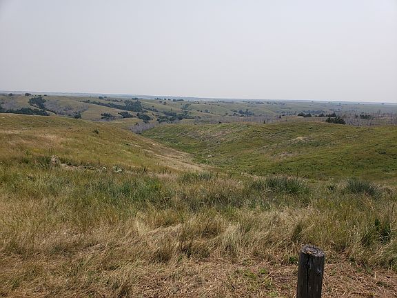 Pasture east of the house