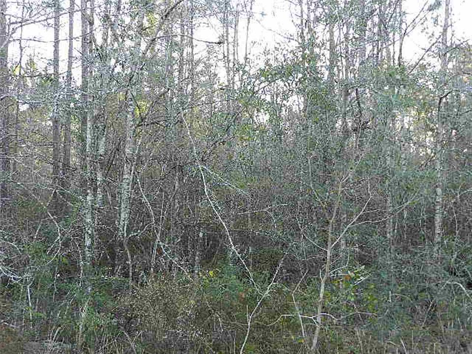 1st image of LOT 817 Elaine Ave