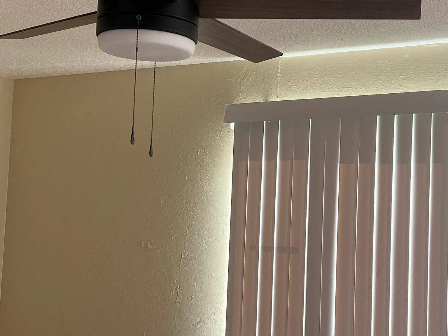 1 bed, $1,000 — Photo 3