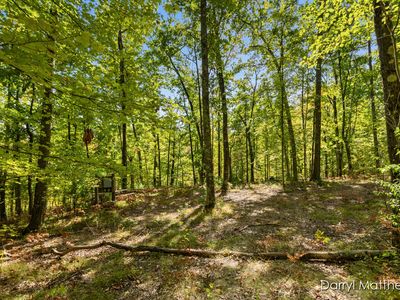 916 E Six Mile Rd, White Cloud, MI, 49349