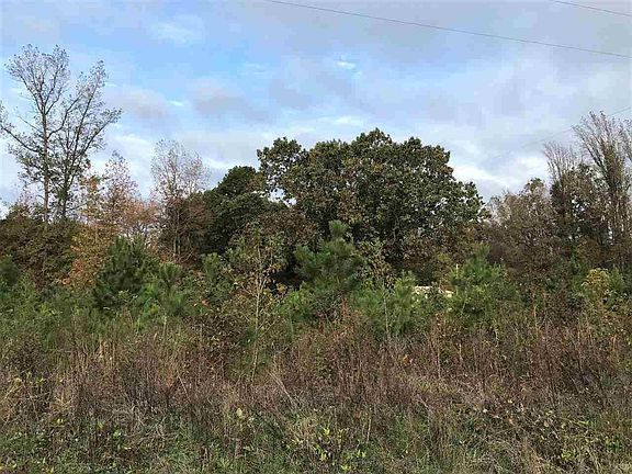 2nd image of 0 Masseyville McNairy Rd