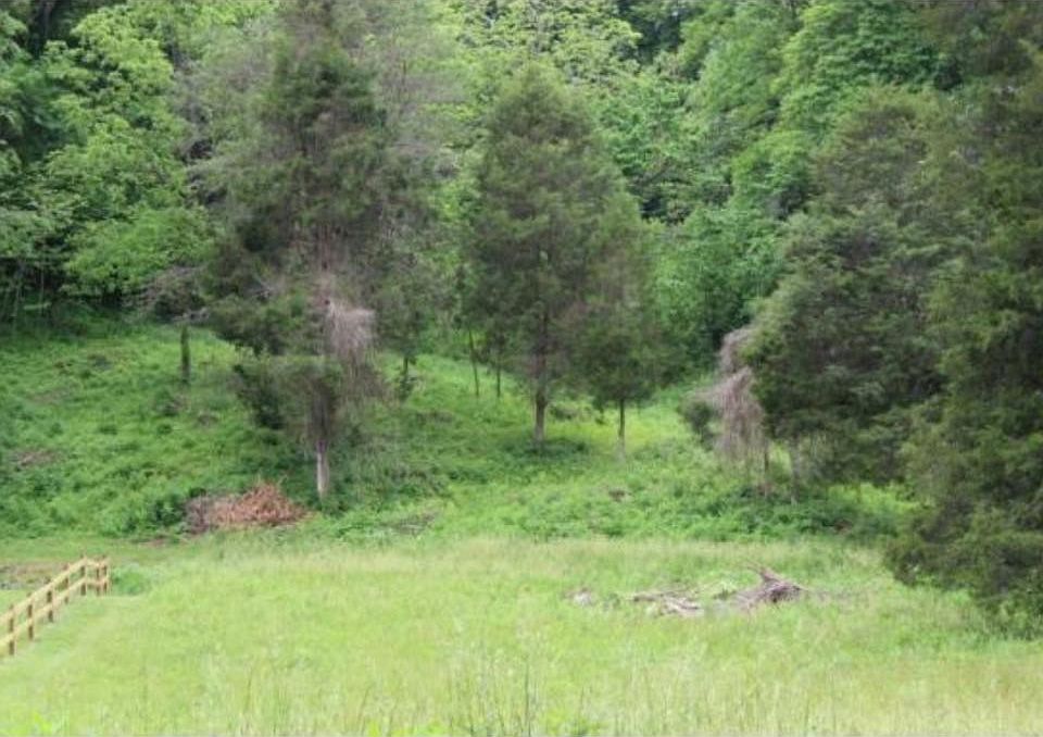 2nd image of 0 Ebbing Flowing Spgs