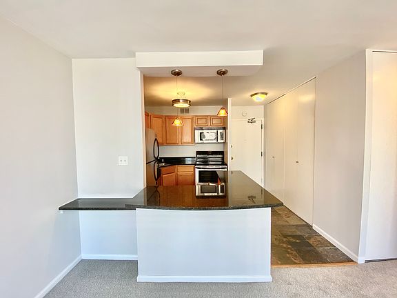 5th image of 1360 N Sandburg Ter APT 1704C