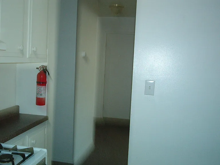 8464 Pineview Lake Ct — Photo 7