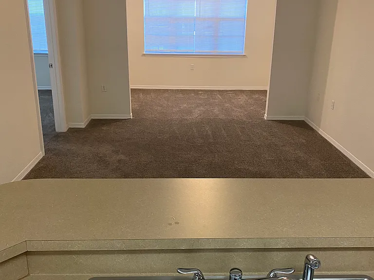 8225 Claire Ann Dr — Photo 11