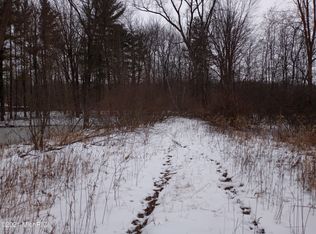1233 W North River Dr, Newaygo, MI 49337