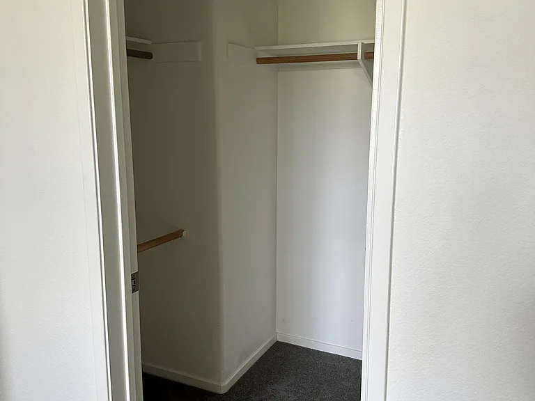 Walk-in closet in master bedroom