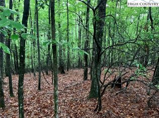 Tbd E Laurel Cir, Deep Gap, NC 28618