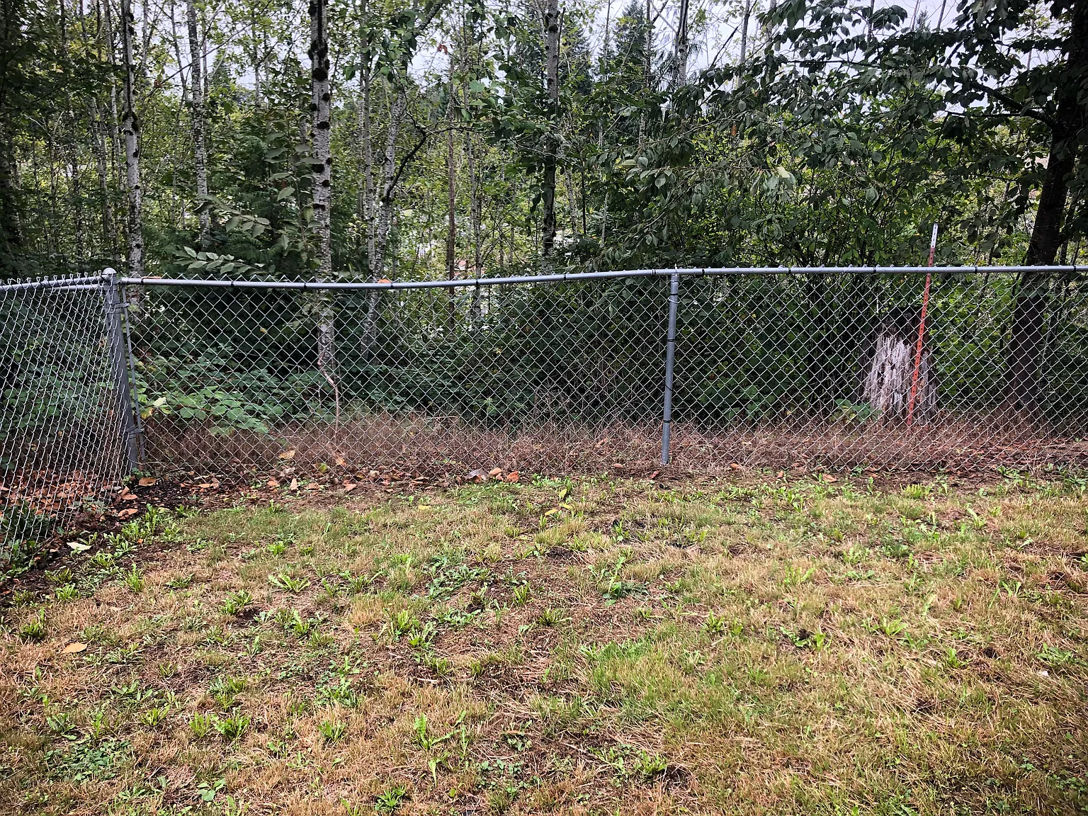 3 bed, 1500 sqft, $2,100 — Photo 2