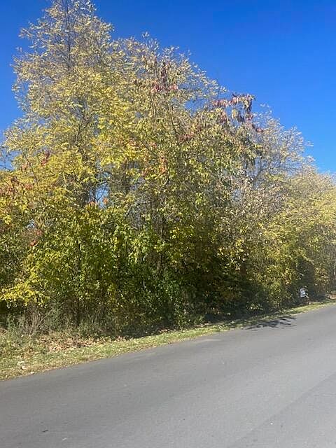 2nd image of LOT 7&8 Patricia Dr