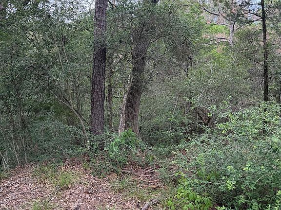2nd image of LOT 294 Aka Ct