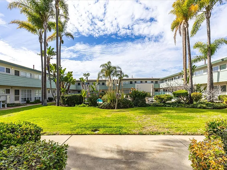 The Palms — Photo 10
