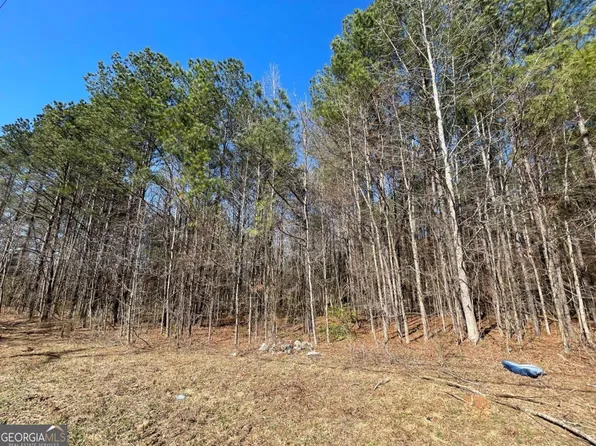 0 Brown Bridge Rd, Covington, GA 30014