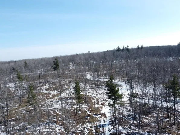 2262 Stoney Ridge Rd, West Branch, MI 48661