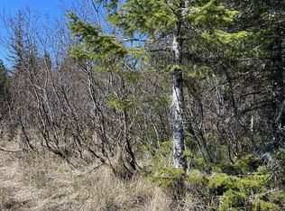 Nhn Rink Rd, Gustavus, AK 99826