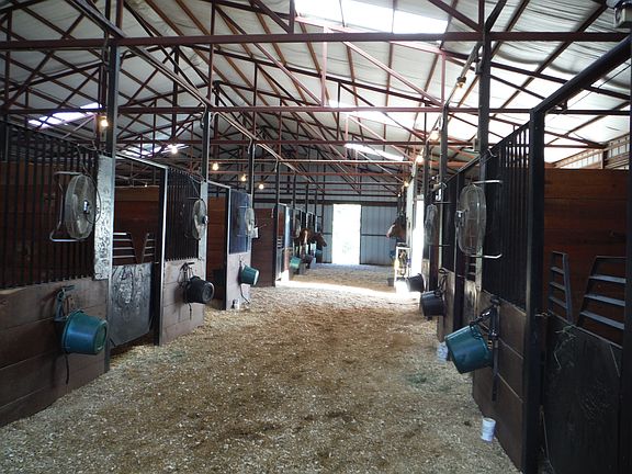 Barn/stable