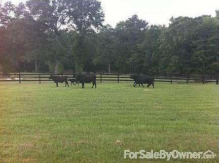 63 acres
						:
						Plenty of land to start a herd of your favorite breed.