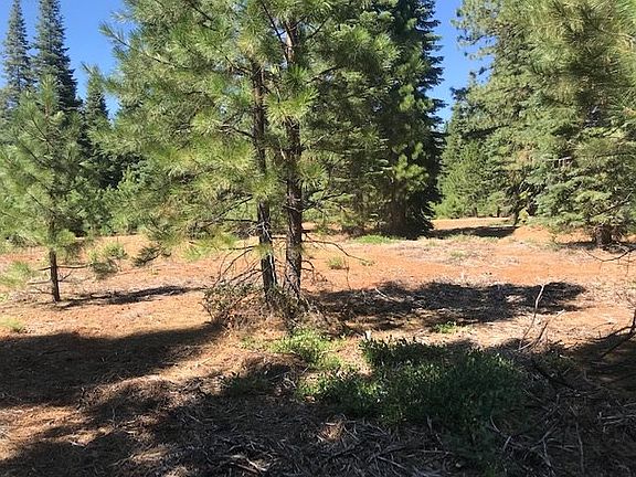 5th image of 718 Foxhollow Dr