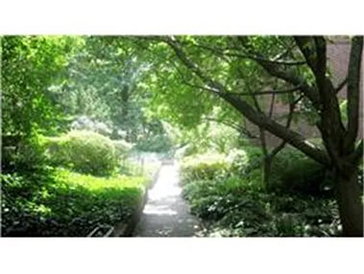 Sold by Douglas Elliman | media 15