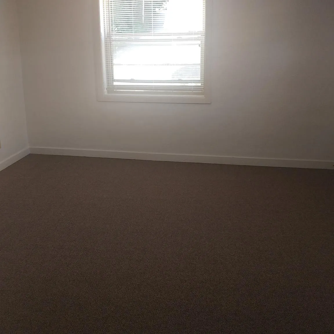 1 bed, 500 sqft, $600 — Photo 3