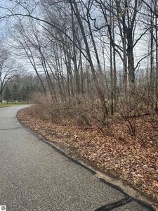 1034 Monterrey Trl #131, Weidman, MI, 48893