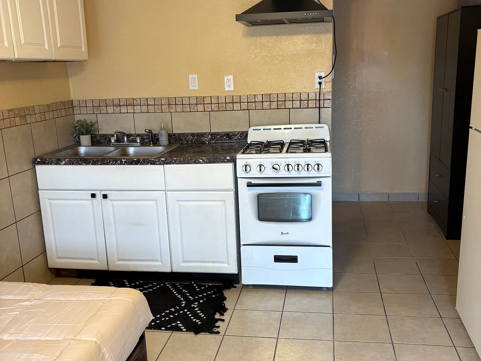 Studio, 261 sqft, $925 — Photo 3