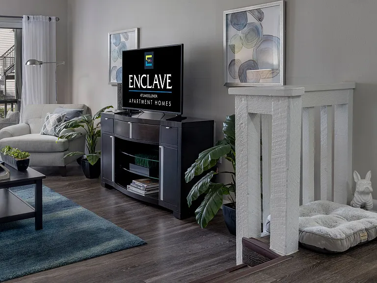 Enclave at Lake Ellenor — Photo 13