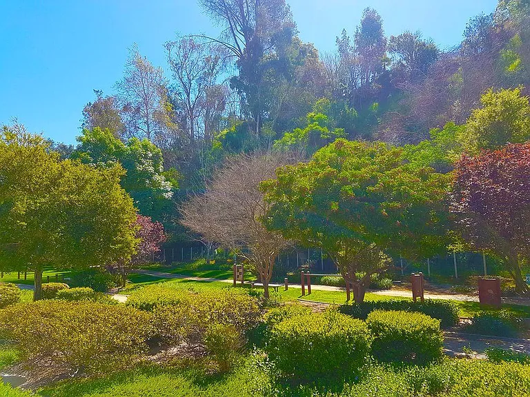 31625 Loma Linda Rd — Photo 11