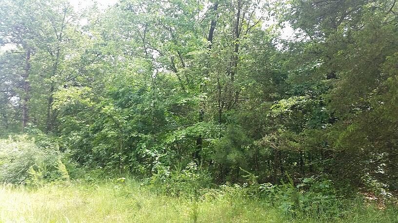 2nd image of Gillette Ave